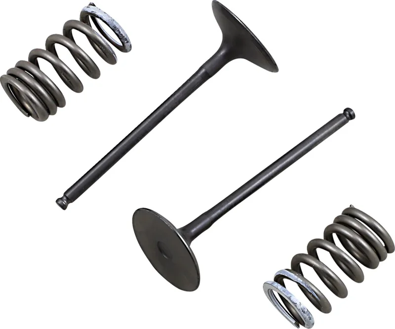 PROX VALVE AND SPRING INTAKE KIT
