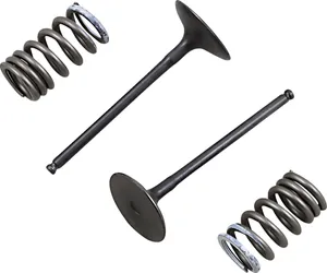 PROX VALVE AND SPRING INTAKE KIT