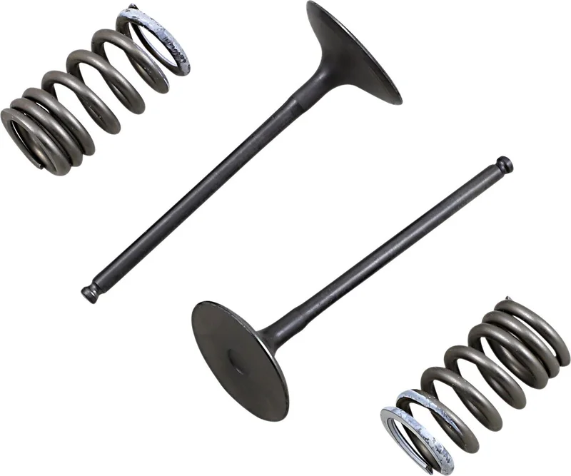 PROX VALVE AND SPRING INTAKE KIT