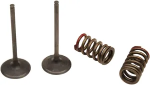 PROX VALVE AND SPRING INTAKE KIT