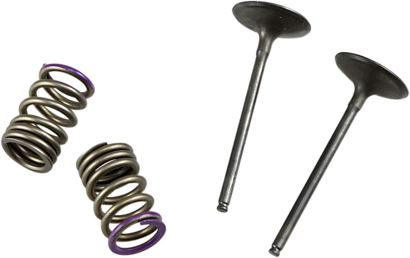 PROX VALVE AND SPRING INTAKE KIT