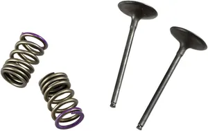 PROX VALVE AND SPRING INTAKE KIT