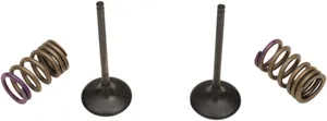 PROX VALVE AND SPRING INTAKE KIT
