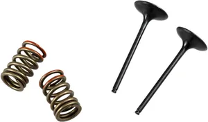 PROX VALVE AND SPRING INTAKE KIT
