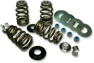 Feuling VALVE SPRINGS HILOAD SE