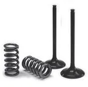 PROX VALVE AND SPRING INTAKE KIT