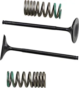PROX VALVE AND SPRING INTAKE KIT