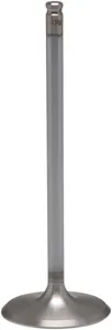 KIBBLEWHITE VALVE INT WD STD LTZ/DRZ