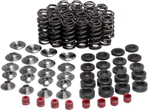 KIBBLEWHITE VALVE SPRING KIT YZFR1