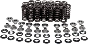 KIBBLEWHITE VALVE SPRING KIT YZFR1