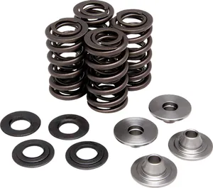 KIBBLEWHITE SPRING KIT KX250F 20-21