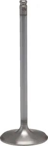 KIBBLEWHITE VALVE IN STD HON1000 16+