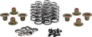 KIBBLEWHITE Beehive Spring Kit - 0.640" Lift - Titanium - M8 | CVO