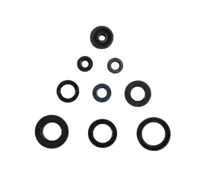ATHENA ENGINE OIL SEAL KIT