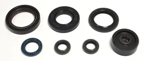 ATHENA ENGINE OIL SEAL KIT