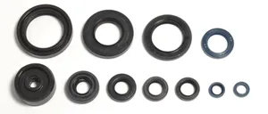 ATHENA ENGINE OIL SEAL KIT