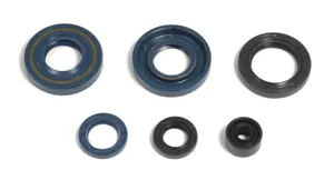 ATHENA ENGINE OIL SEAL KIT