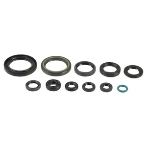 ATHENA ENGINE OIL SEAL KIT