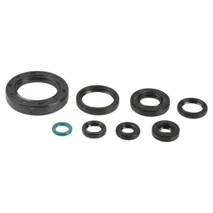 ATHENA ENGINE OIL SEAL KIT