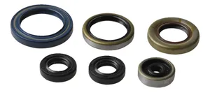 ATHENA ENGINE OIL SEAL KIT