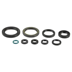 ATHENA ENGINE OIL SEAL KIT