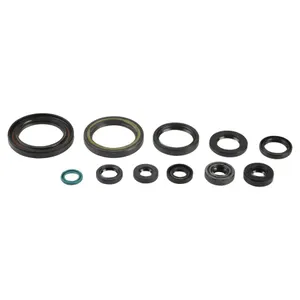 ATHENA ENGINE OIL SEAL KIT