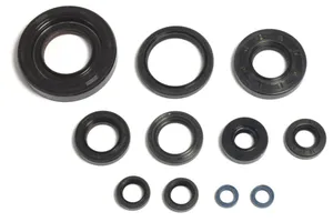ATHENA ENGINE OIL SEAL KIT