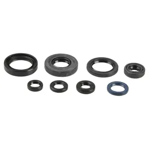 ATHENA ENGINE OIL SEAL KIT