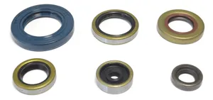 ATHENA ENGINE OIL SEAL KIT
