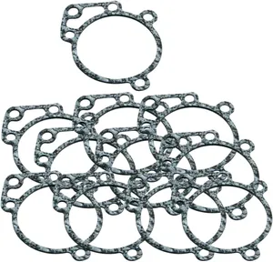 S&S GASKET BACKPLT TDRP 10P