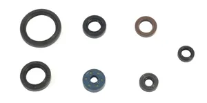 ATHENA ENGINE OIL SEAL YZF450 18