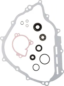PROX REPR KT WTRPMP 700 GRIZ
