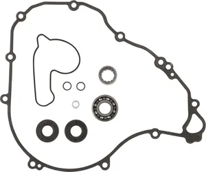 PROX REPR KT WTRPMP 250/350SX