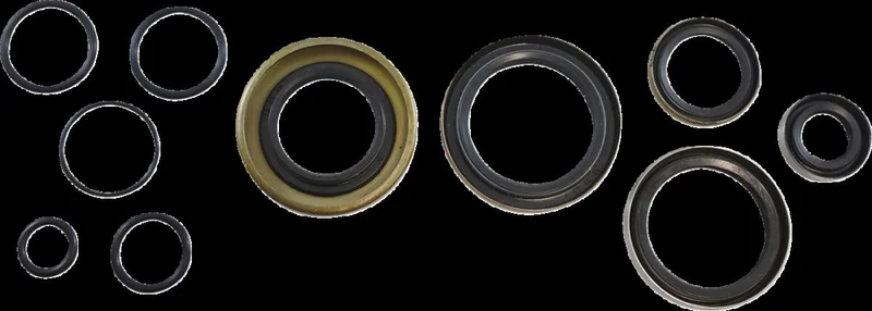 VINTCO OIL SEAL KIT KOS016