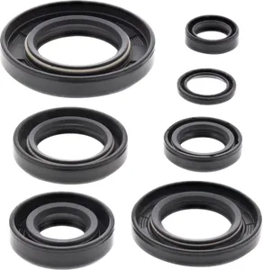 Moose Offroad Oil Seal Kit