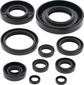 Moose Offroad Oil Seal Kit