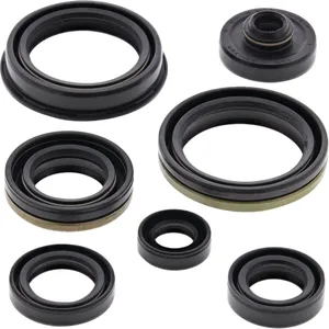 Moose Offroad Oil Seal Kit