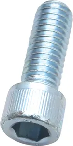 S&S SCREW 3/8-16X1 50-0161