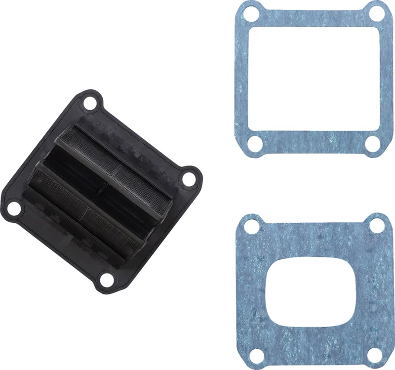 VFORCE/MOTO TASSINARI REEDS V-FORCE 4
