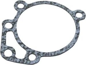 S&S GASKET BK PLT E/G