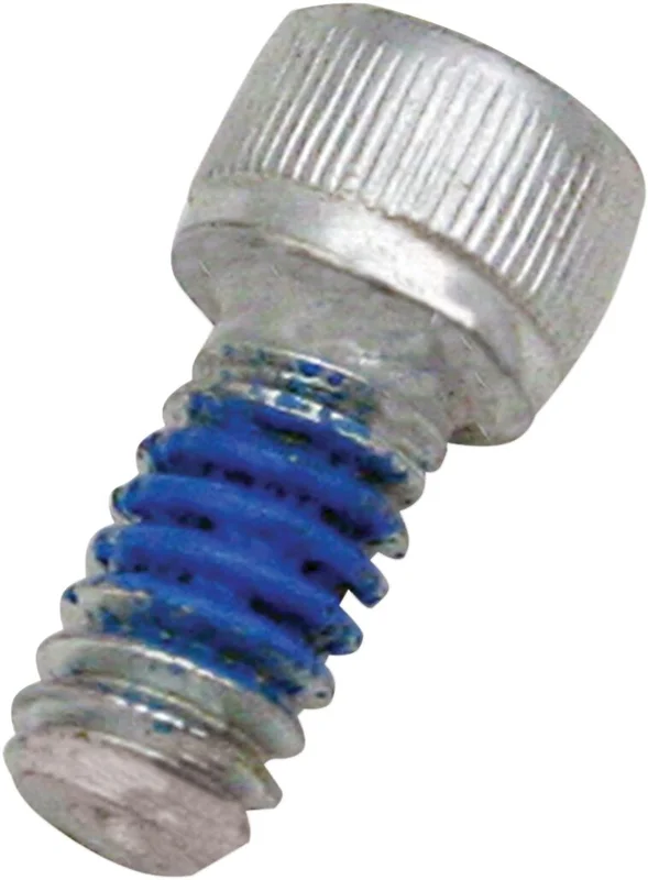 S&S Air cleaner backplate screw