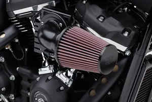 Cobra AIR INTAKE CN BK/BK SFTL 