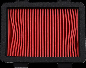 HIFLOFILTRO Air Filter KTM 390 Duke