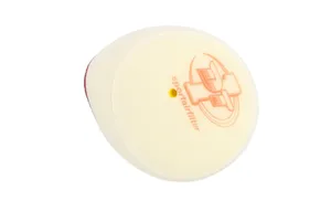 DT-1 RACING EUROPE STD AIRFILTER FANTIC XX '20