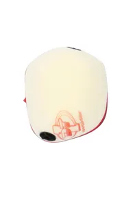 DT-1 RACING EUROPE STD AIRFILTER GG '24