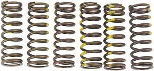 PRO CIRCUIT CLUTCH SPRINGS