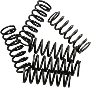 HINSON RACING SPRING CLUTCH KIT HI-TEMP 6-SET HONDA