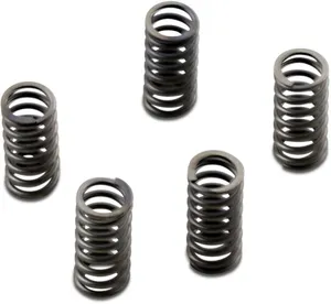 EBC CLUTCH SPRING SET CSK
