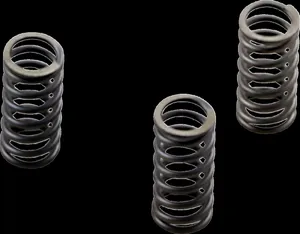 EBC CLUTCH SPRING SET CSK