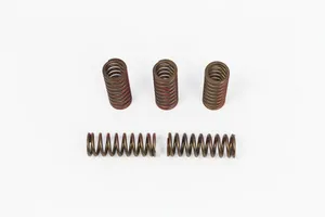 PRO CIRCUIT CLUTCH SPRING SET FOR HONDA